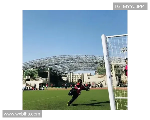 杨娜专访：探寻足球领域成功的秘诀与背后故事